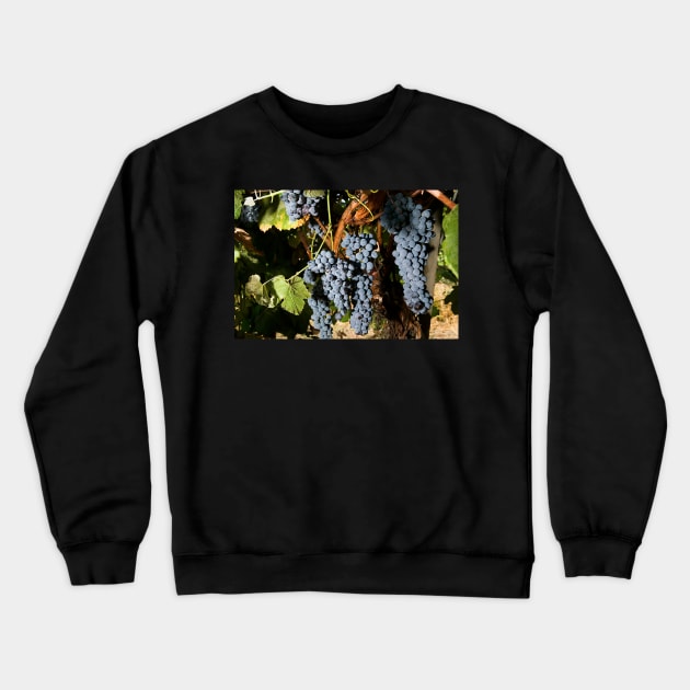 Grape Vineyard 2 Crewneck Sweatshirt by Bravuramedia